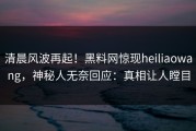 清晨风波再起！黑料网惊现heiliaowang，神秘人无奈回应：真相让人瞠目