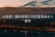 太突然！黑料网背后的狂喜真相令人震惊