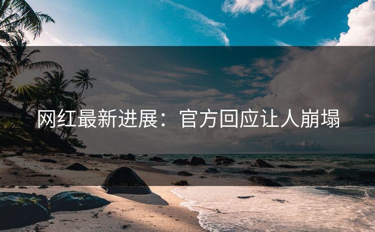 网红最新进展：官方回应让人崩塌