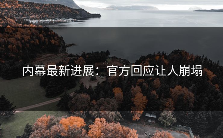 内幕最新进展：官方回应让人崩塌