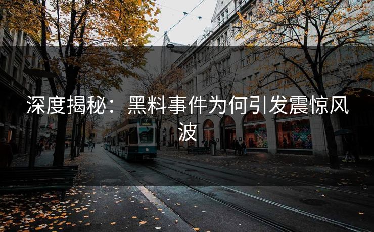 深度揭秘：黑料事件为何引发震惊风波