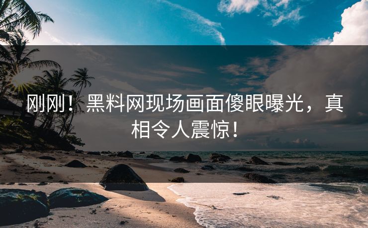 刚刚！黑料网现场画面傻眼曝光，真相令人震惊！