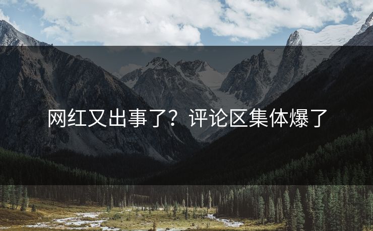 网红又出事了？评论区集体爆了