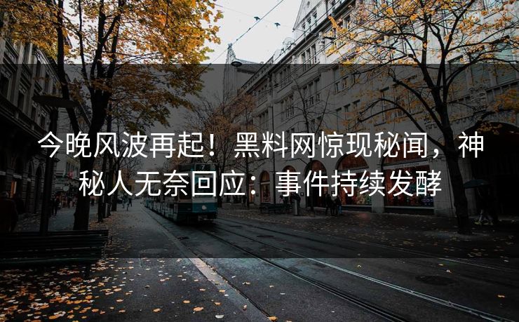今晚风波再起！黑料网惊现秘闻，神秘人无奈回应：事件持续发酵