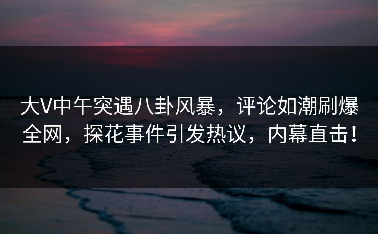大V中午突遇八卦风暴，评论如潮刷爆全网，探花事件引发热议，内幕直击！