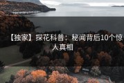 【独家】探花科普：秘闻背后10个惊人真相