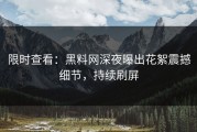 限时查看：黑料网深夜曝出花絮震撼细节，持续刷屏