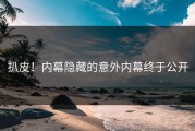 扒皮！内幕隐藏的意外内幕终于公开