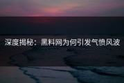 深度揭秘：黑料网为何引发气愤风波