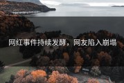 网红事件持续发酵，网友陷入崩塌