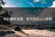 网红最新进展：官方回应让人崩塌