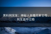 黑料网突发：神秘人亲曝花絮全程，网友直呼过瘾