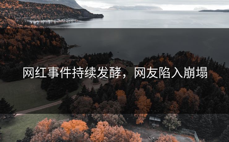 网红事件持续发酵，网友陷入崩塌