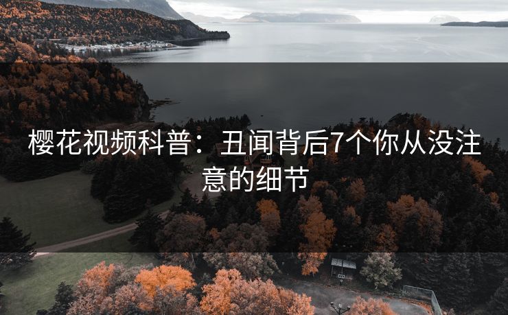 樱花视频科普：丑闻背后7个你从没注意的细节
